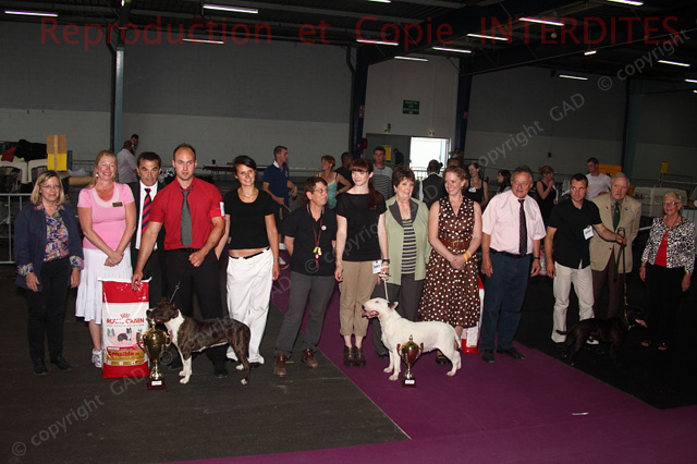 div_467_cfabas_ne11.jpg