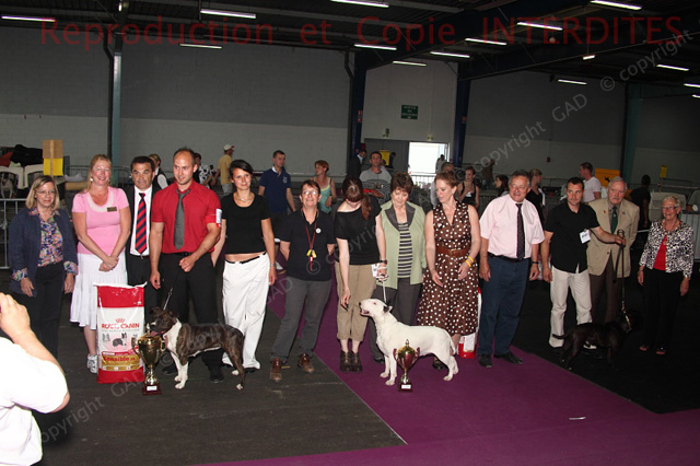 div_468_cfabas_ne11.jpg