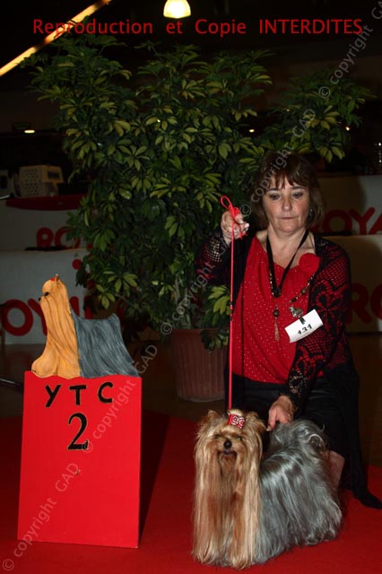 131_609_york_ne12.jpg