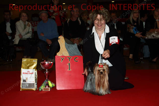 132_546_york_ne12.jpg