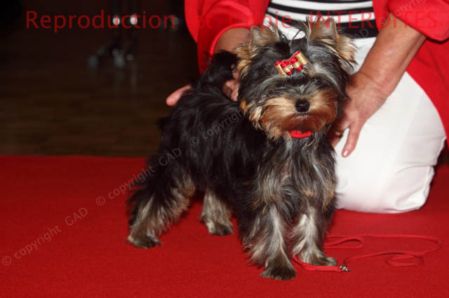 173_072_york_ne12.jpg