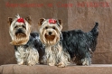 112_&_123_764_york_ne12