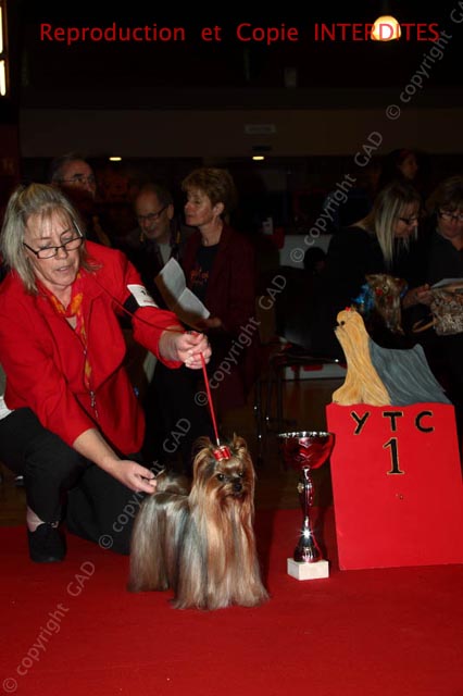 181_555_york_ne12.jpg