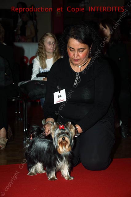 064_028_york_ne12.jpg